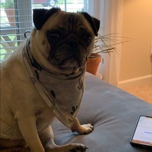 Meet your Posher, Debbie